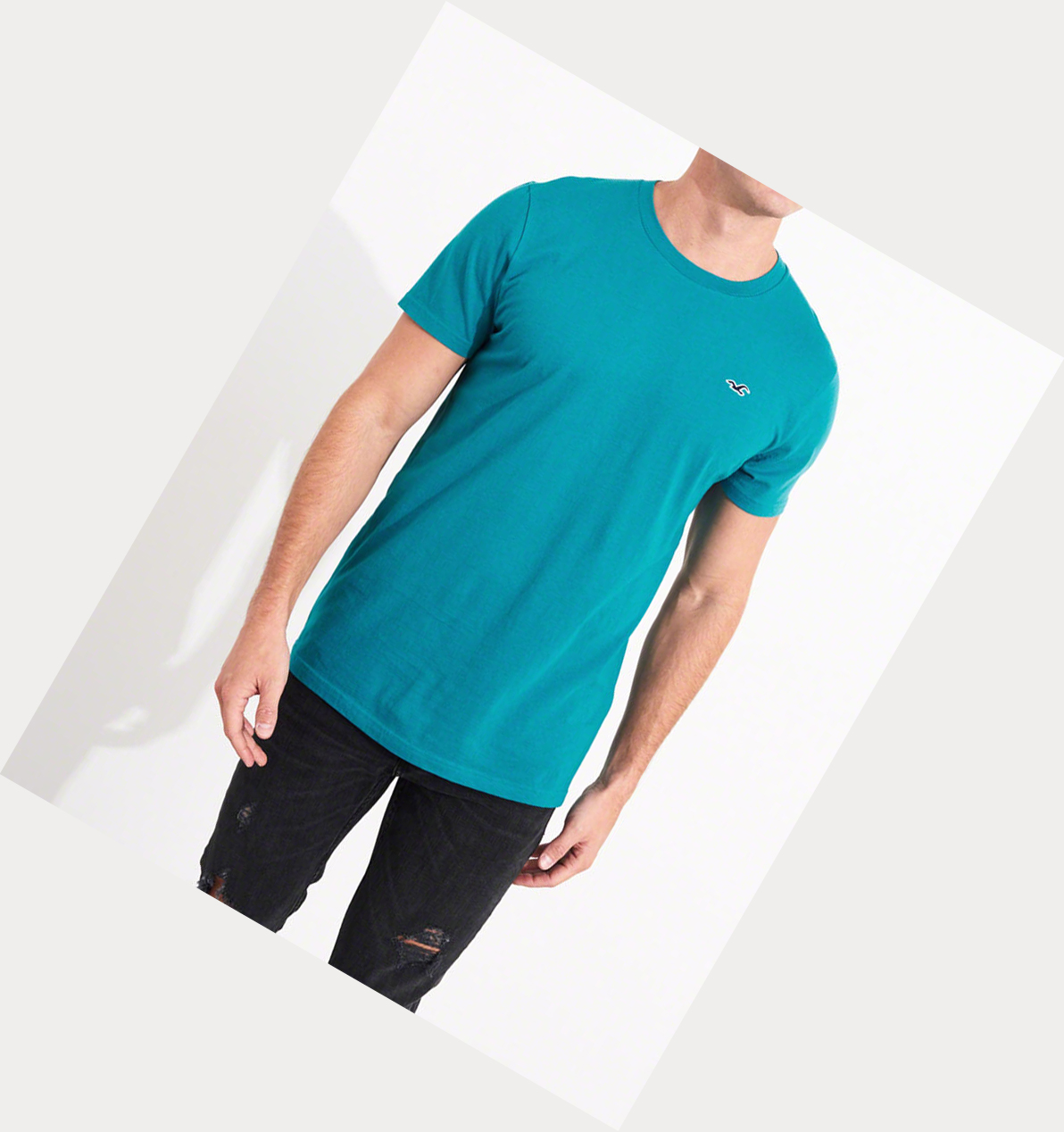 Turquoise Hollister Must-Have Crewneck Men's Short Sleeve | ZA-GTLY324