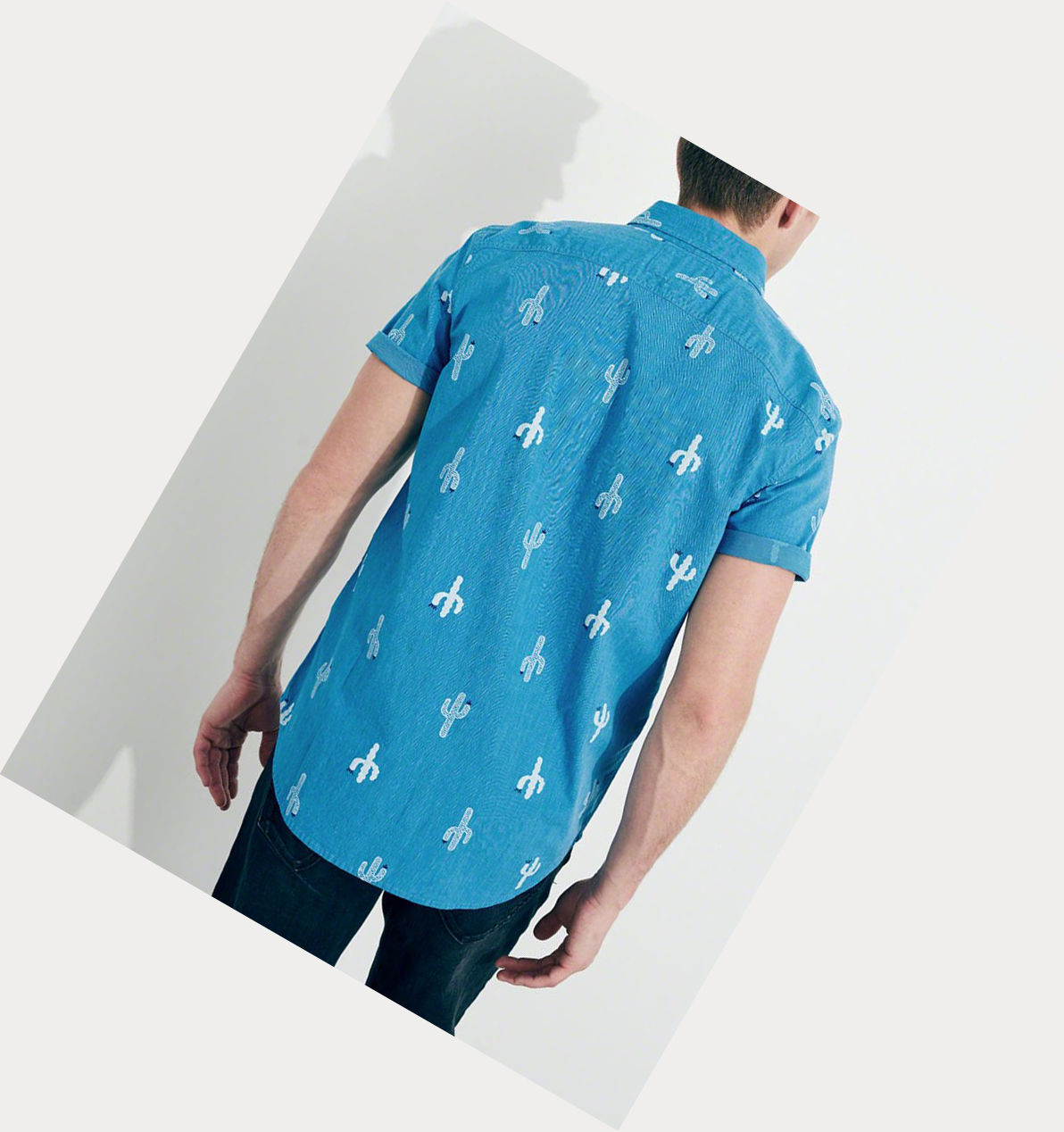 Turquoise Hollister Stretch Cactus Poplin Men's Short Sleeve | ZA-ZHFX146