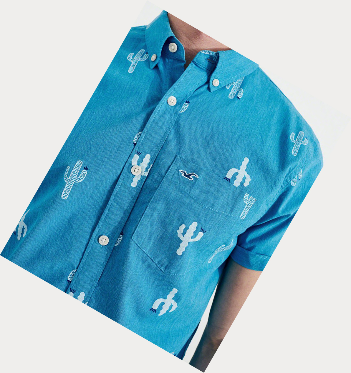 Turquoise Hollister Stretch Cactus Poplin Men's Short Sleeve | ZA-ZHFX146