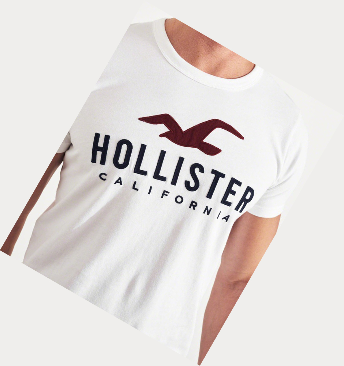 White Hollister Muscle Fit Men's Short Sleeve | ZA-EWHQ327