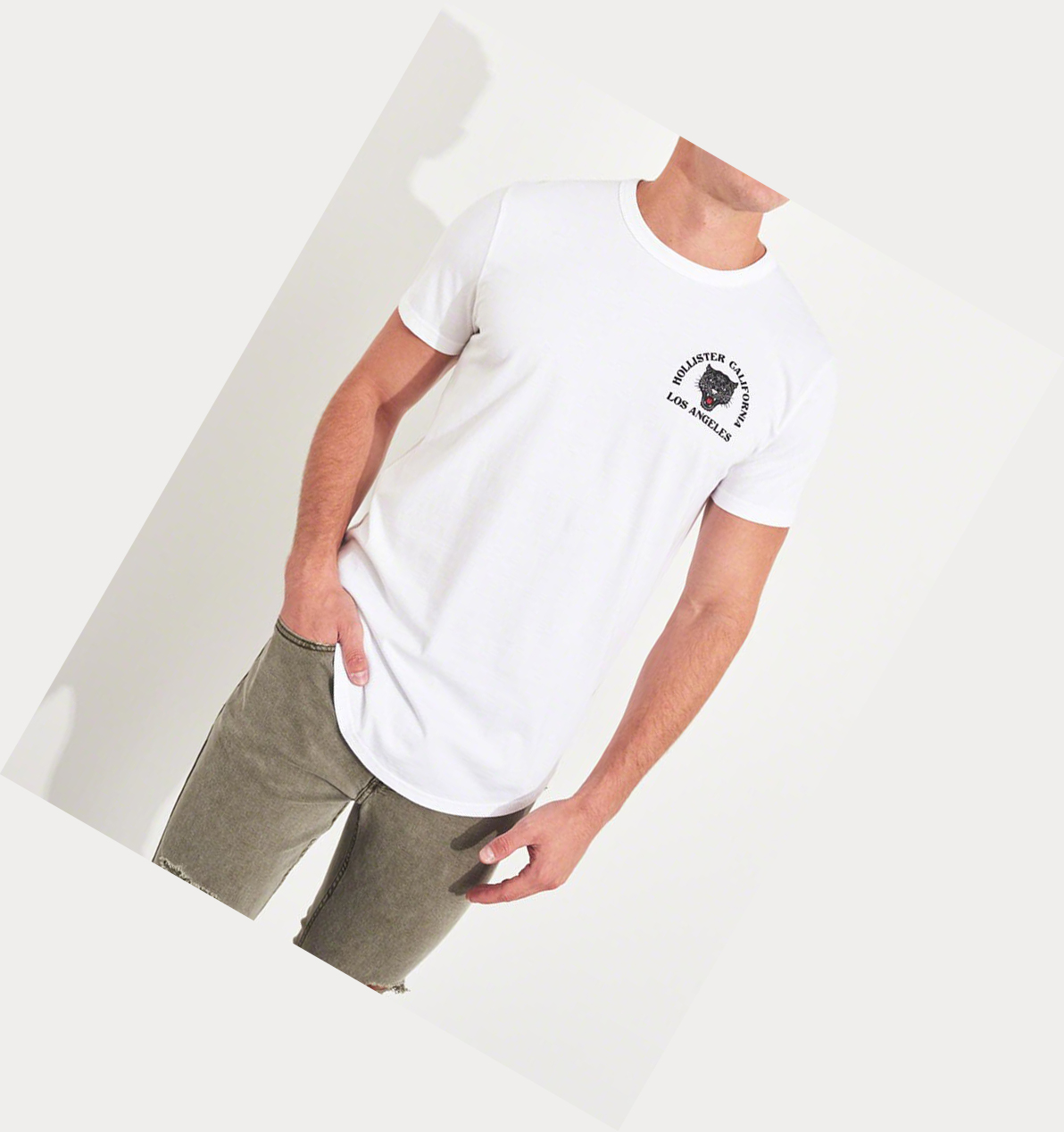 White Hollister Panther Logo Men's Short Sleeve | ZA-ZOTS803