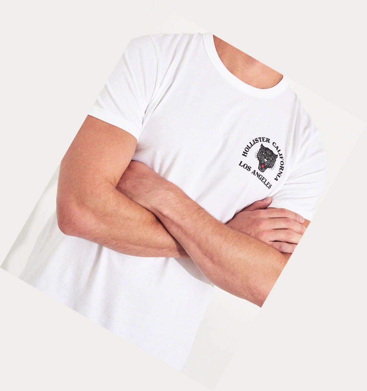 White Hollister Panther Logo Men's Short Sleeve | ZA-ZOTS803