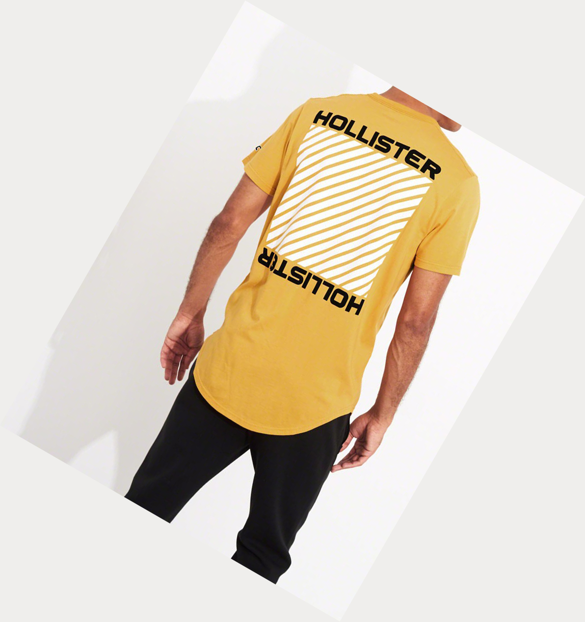 Yellow Hollister Print Logo Men's Short Sleeve | ZA-YVHC928