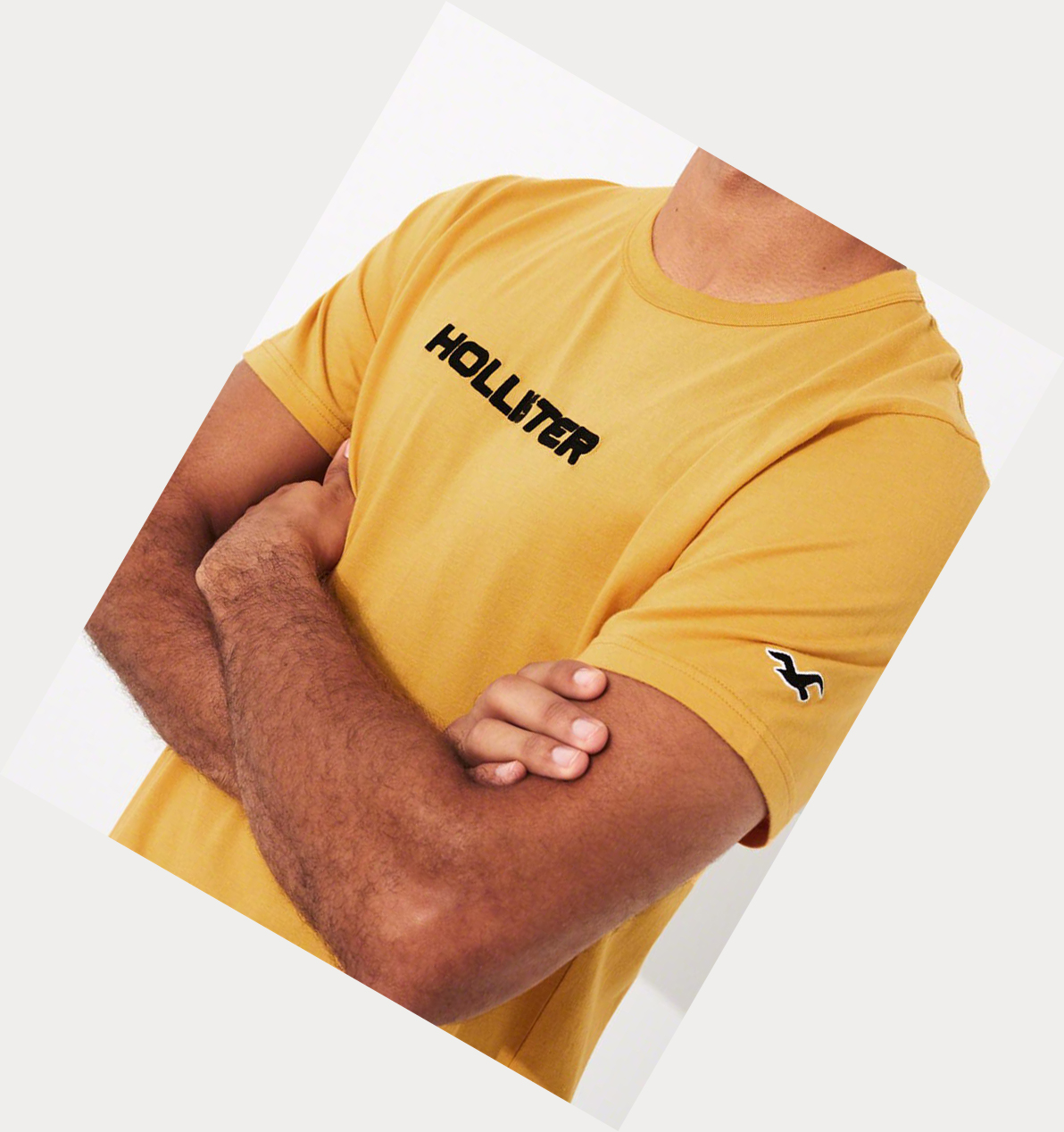 Yellow Hollister Print Logo Men's Short Sleeve | ZA-YVHC928